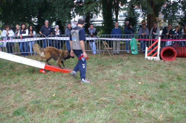 foire-haricots 2011-09-17et18